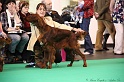 Crufts2011 190